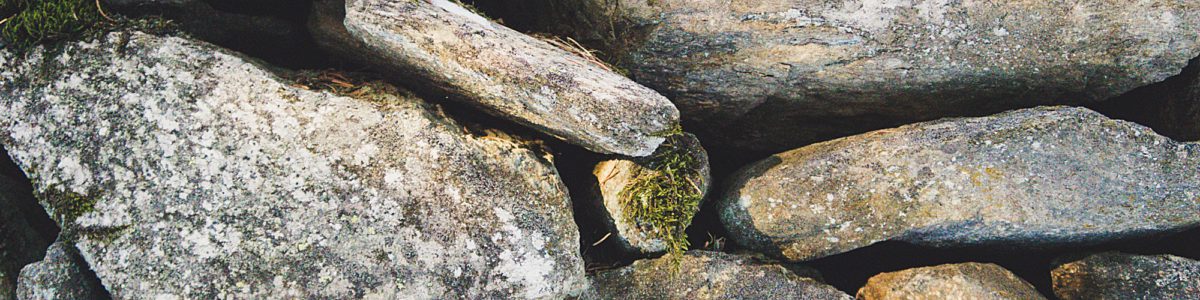 Rock Wall with Moss Growing on It